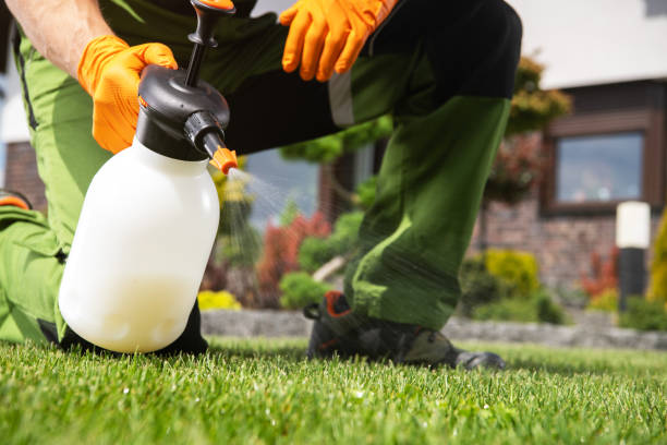 Best Insect Control  in Pine Island Center, FL
