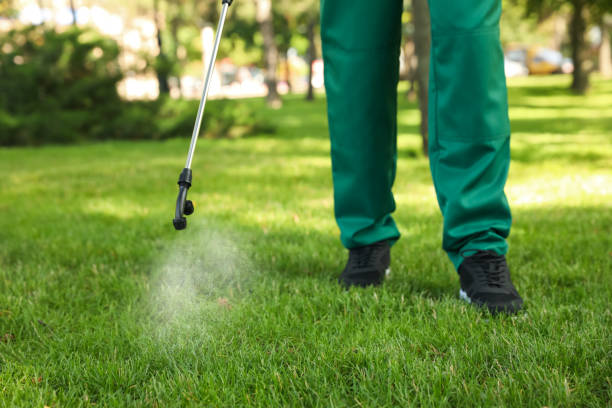 Best Best Pest Control Companies  in Pine Island Center, FL
