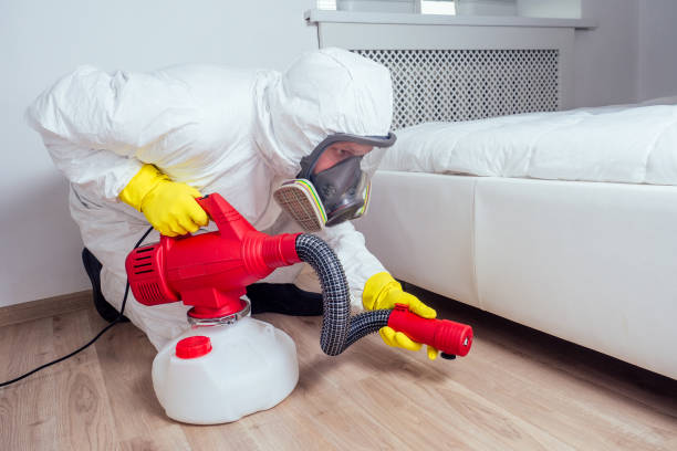Best Best Pest Control Companies  in Pine Island Center, FL