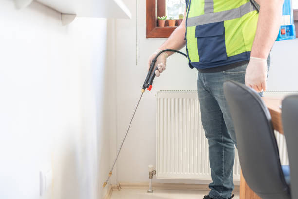 Best Pest Control Near Me in Pine Island Center, FL