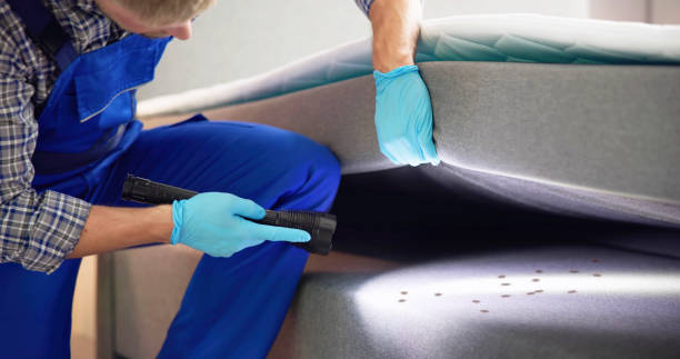 Best Pest Control Near Me  in Pine Island Center, FL