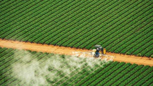 Best Commercial Pest Control Services  in Pine Island Center, FL