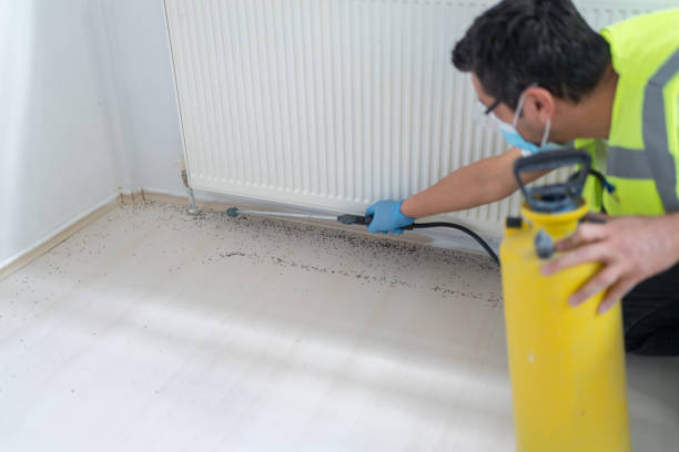 Trusted Pine Island Center, FL Pest Control Experts